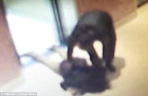 article-0-1BA6330300000578-989_634x416